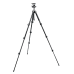 Manfrotto Штатив MT293A4 + головка 494RC2 (шаровая) Manfrotto Штатив MT293A4 + головка 494RC2 (шаровая)