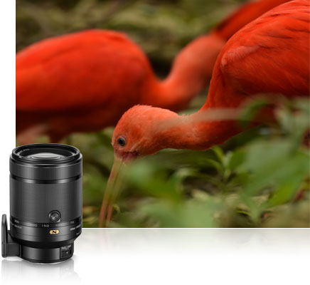 1 NIKKOR VR 70-300mm f/4.5-5.6 черный