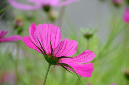 AF-S DX NIKKOR 18-300mm f/3.5-6.3G ED VR