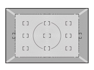 Сменный фокусировочный экран W для D2X