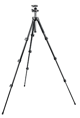 Manfrotto Штатив MT293A4 + головка 494RC2 (шаровая)