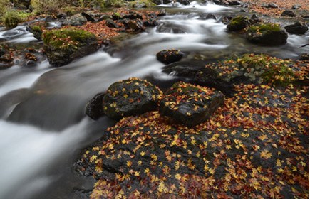 AF-S NIKKOR 18-35mm f/3.5–4.5G ED