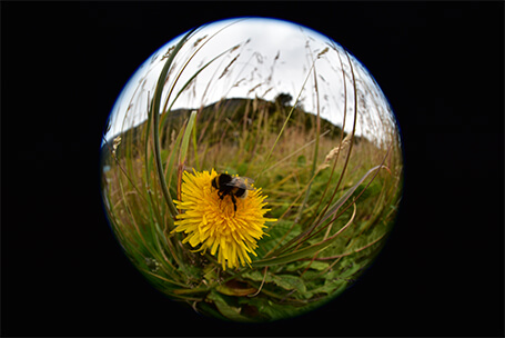 AF-S FISHEYE NIKKOR 8-15mm f/3.5-4.5E ED