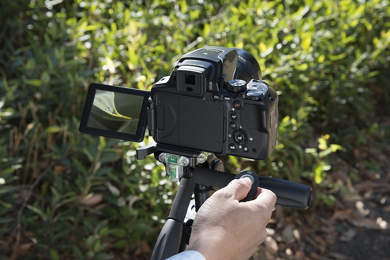 COOLPIX P900 черный