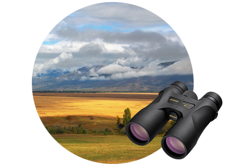 Бинокль Prostaff 7 10x42